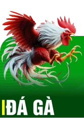 bet3
