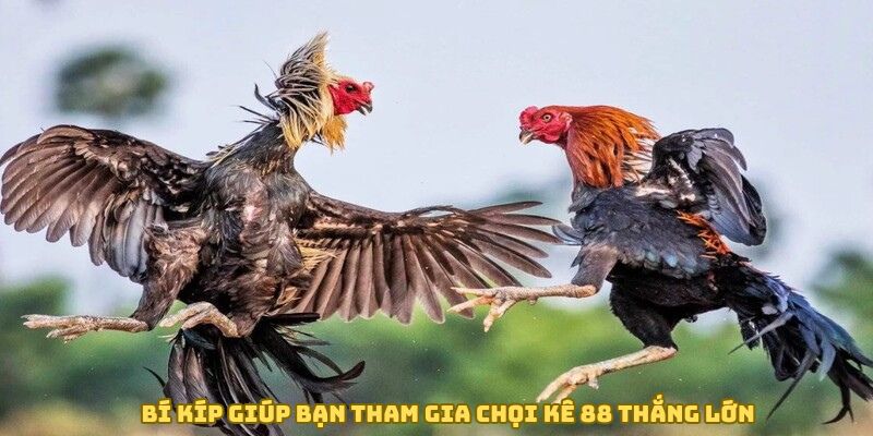 bi-kip-tham-gia-choi-ke-88-thang-lon
