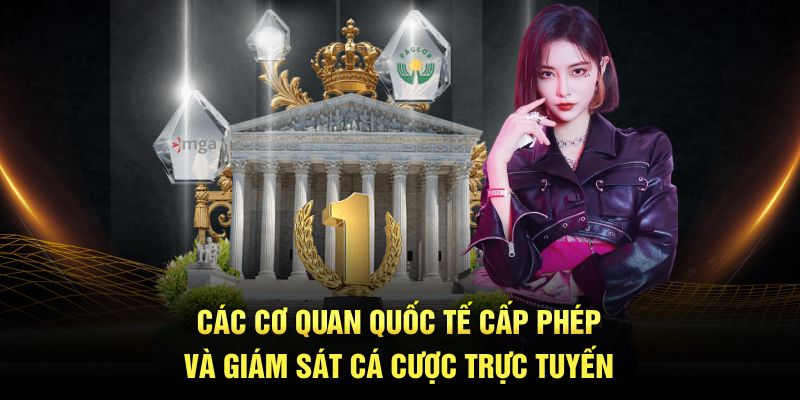 cac-co-quan-quoc-te-cap-phep-va-giam-sat-ca-cuoc-truc-tuyen