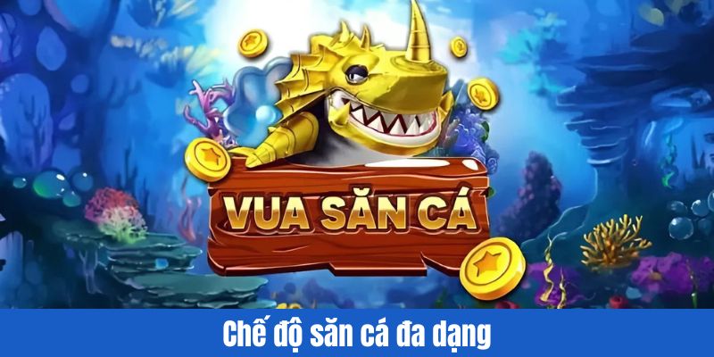 che-do-vua-san-ca