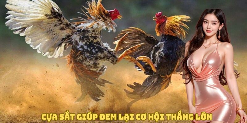 cua-sat-giup-dem-lai-co-hoi-thang-lon