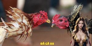 da-ga-88