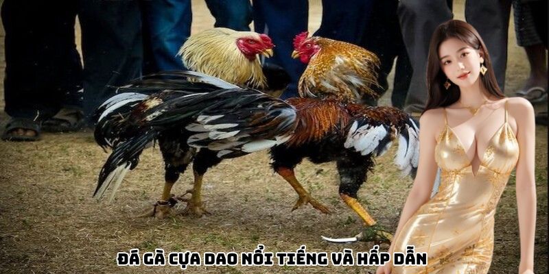 da-ga-cua-dao-noi-tieng-hap-dan