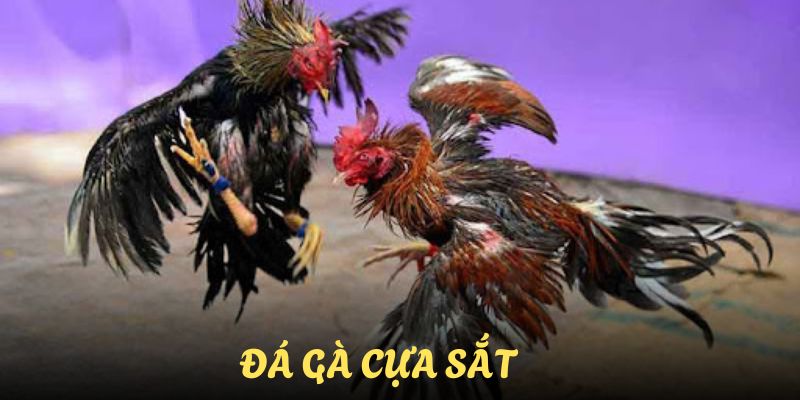 da-ga-cua-sat