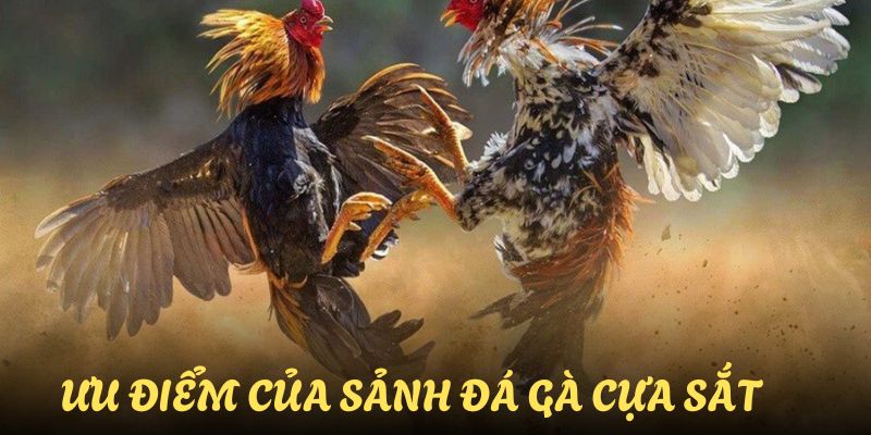 da-ga-cua-sat-uu-diem