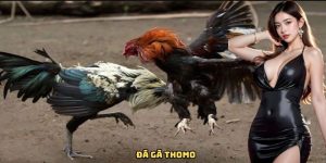 da-ga-thomo