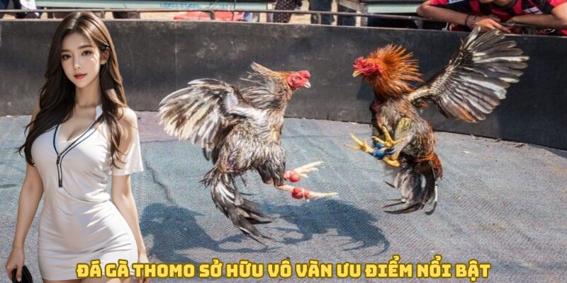 da-ga-thomo-so-huu-vo-van-uu-diem