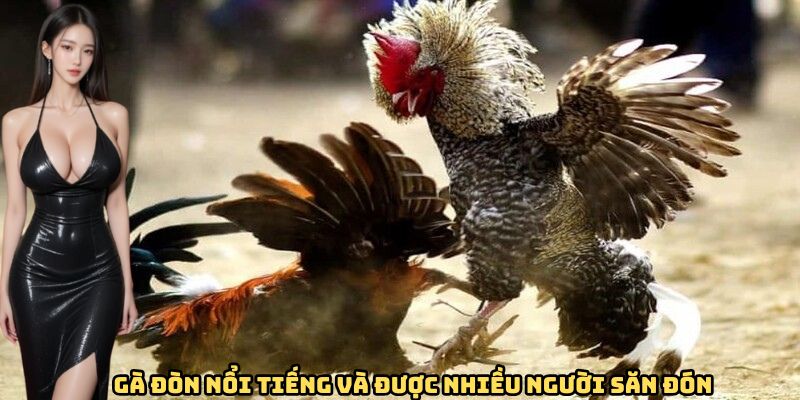 ga-don-noi-tieng-va-duoc-nhieu-nguoi-san-don