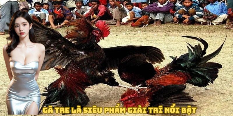 ga-tre-la-sieu-pham-giai-tri-noi-bat