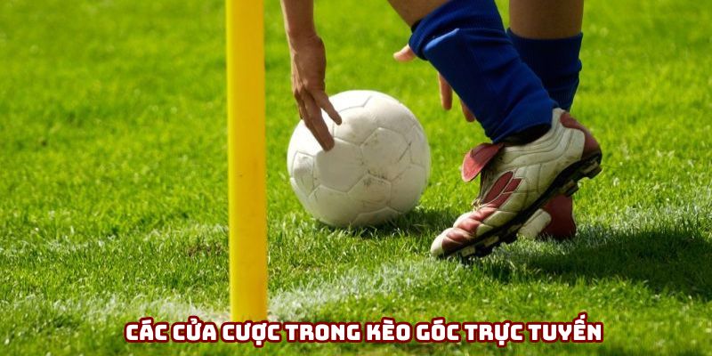 keo-goc-truc-tuyen-cac-cua-cuoc