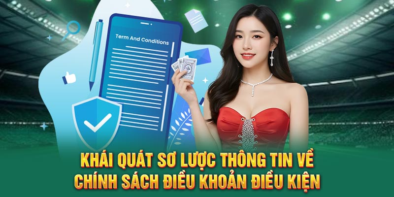 khai-quat-so-luoc-thong-tin-ve-chinh-sach-dieu-khoan-dieu-kien