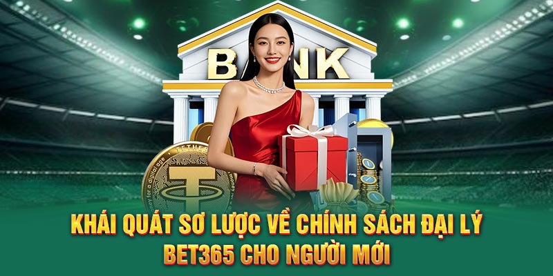 khai-quat-so-luoc-ve-chinh-sach-dai-ly-bet365-cho-nguoi-moi