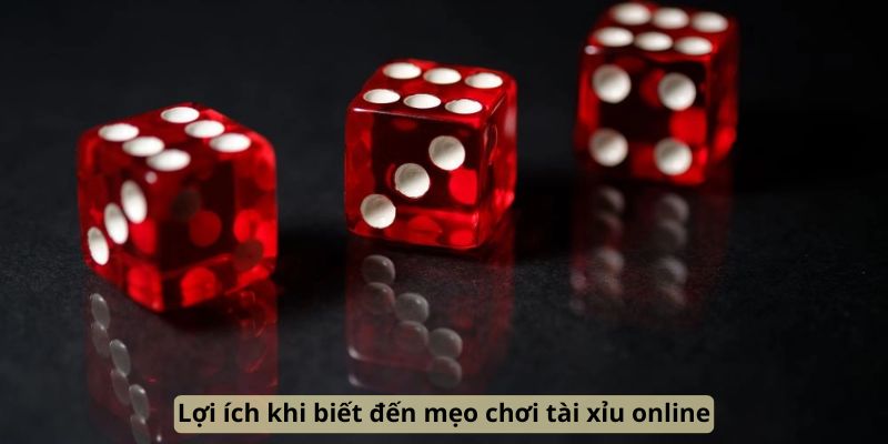 loi-ich-khi-biet-den-meo-choi-tai-xiu-online