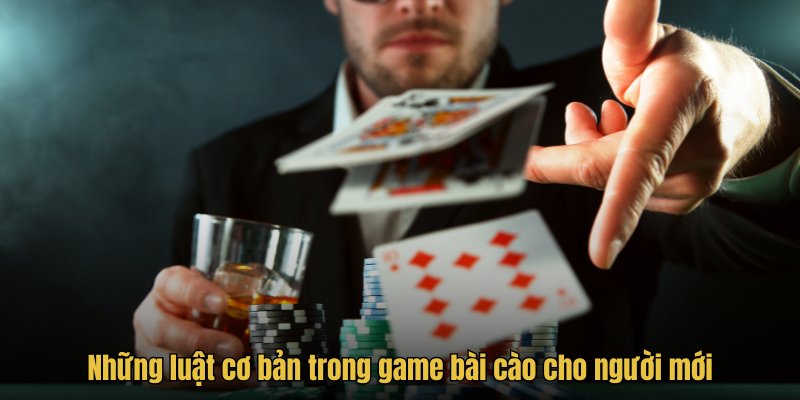 nhung-luat-co-ban-trong-game-bai-cao-cho-nguoi-moi