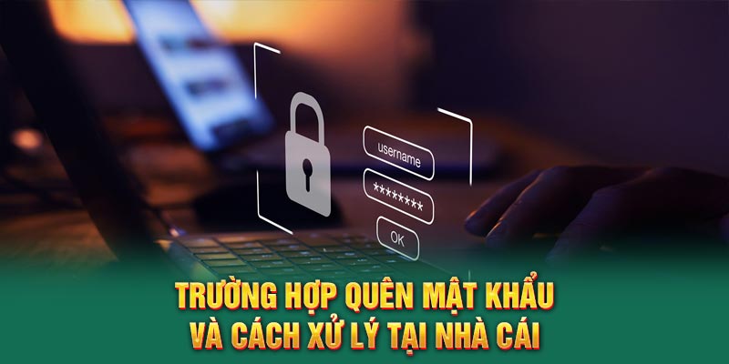 truong-hop-quen-mat-khau-va-cach-xu-ly-tai-nha-cai