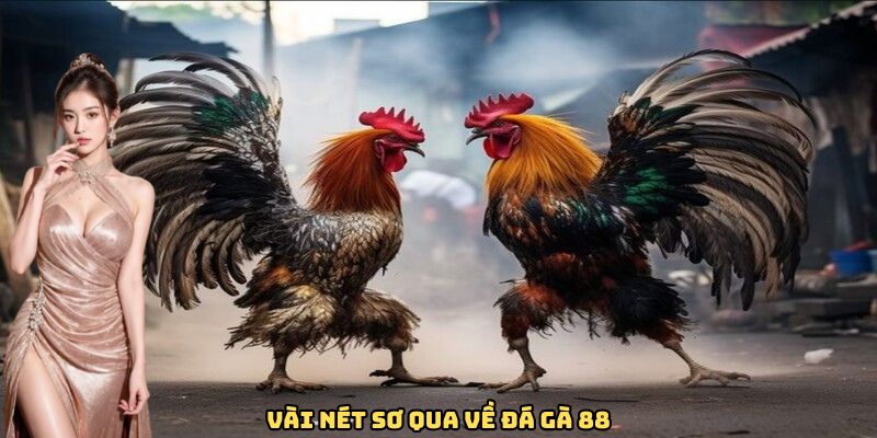 vai-net-so-qua-ve-da-ga-88